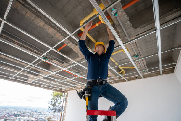 Best Plumbing Inspection Services  in Nth Plains, OR